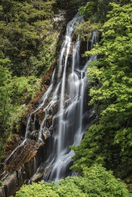 熊野市 荒滝の観光情報と写真一覧 高画質な三重の風景写真は三重フォトギャラリー