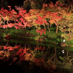 鏡池に映る紅葉