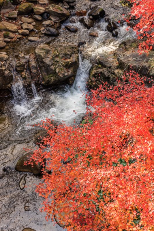 小さな滝と紅葉