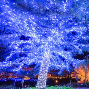 青のクリスマスツリー
