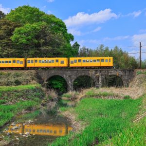三岐鉄道北勢線の写真