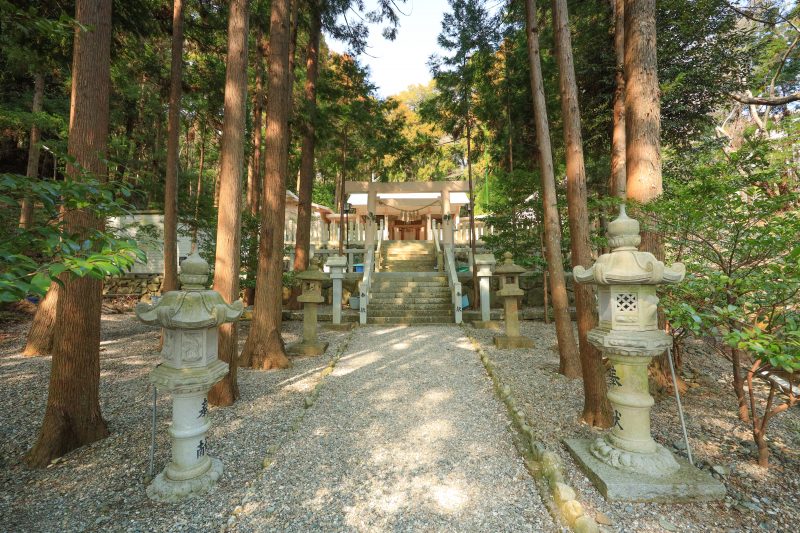 若宮神社の参道