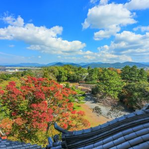 伊賀上野城からの眺め