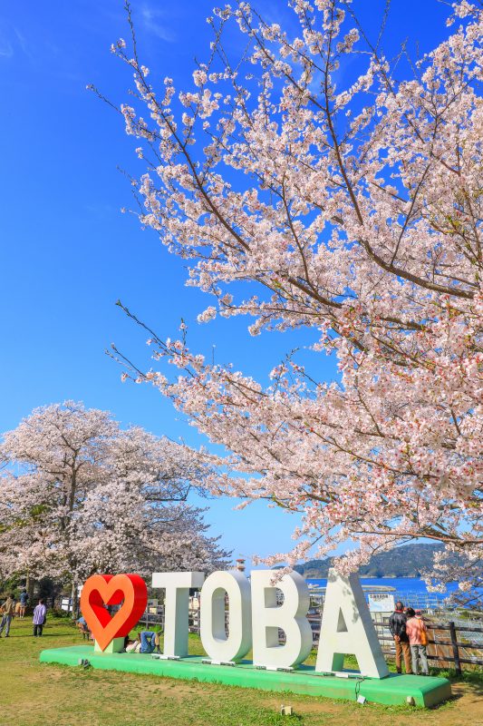 ハートTOBAのモニュメントと満開の桜
