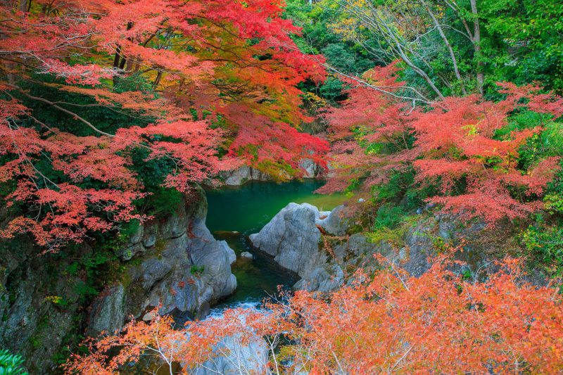 巨岩と紅葉