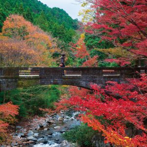 石橋と紅葉