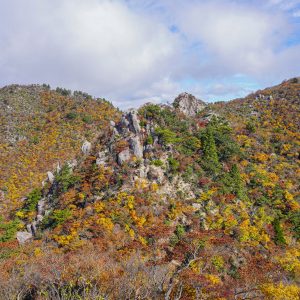 仙ヶ岳の写真
