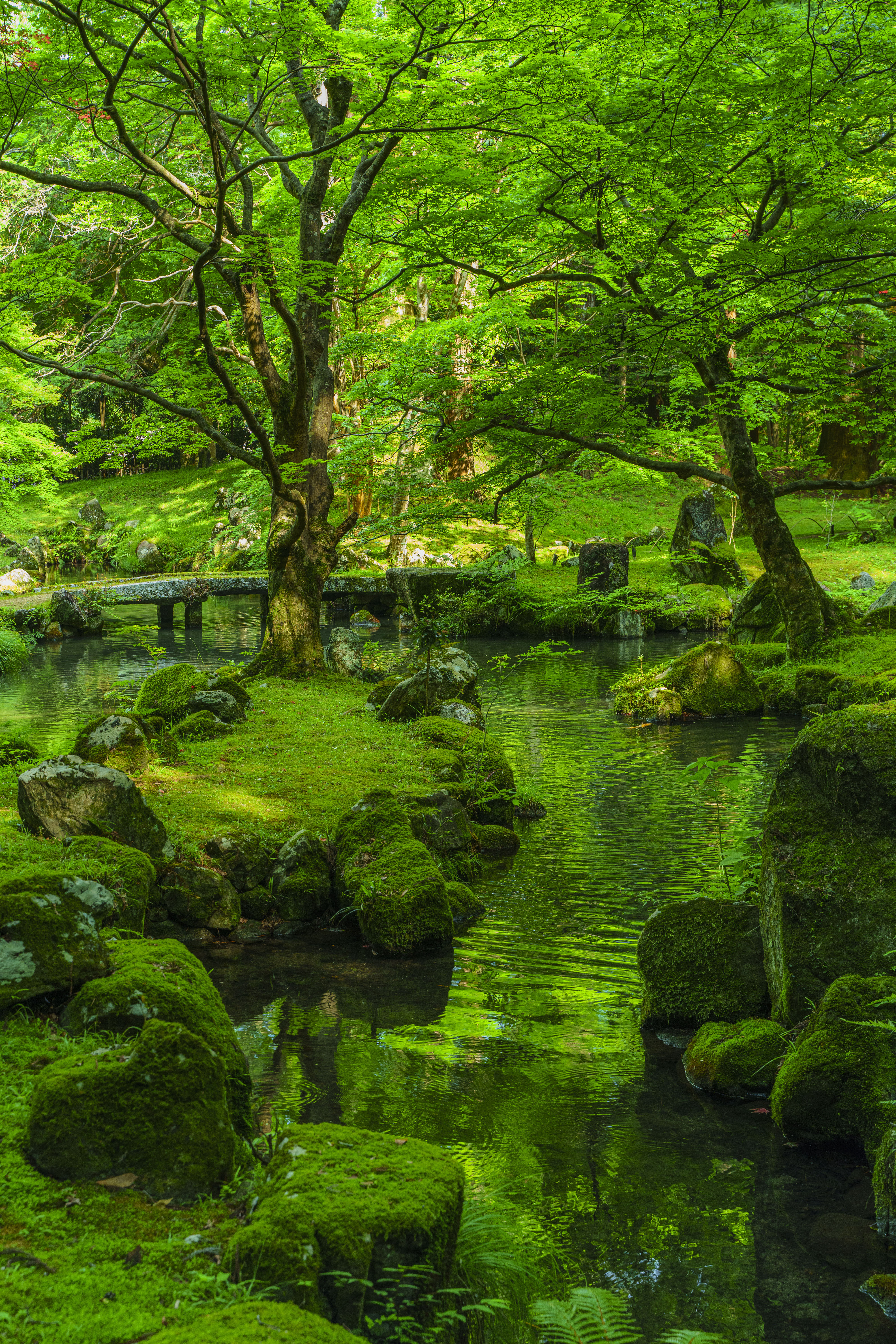 津市 北畠神社の写真 新緑の庭園 高画質な三重の風景写真は三重フォトギャラリー