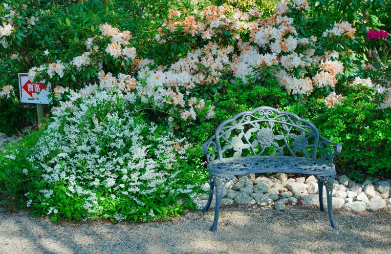 花とレトロなベンチ