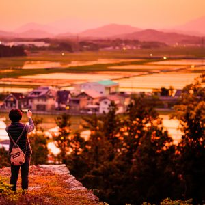 田丸城跡の観光情報と写真一覧