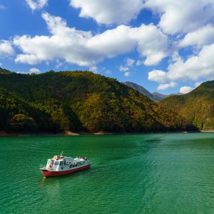 宮川ダム湖観光船の写真