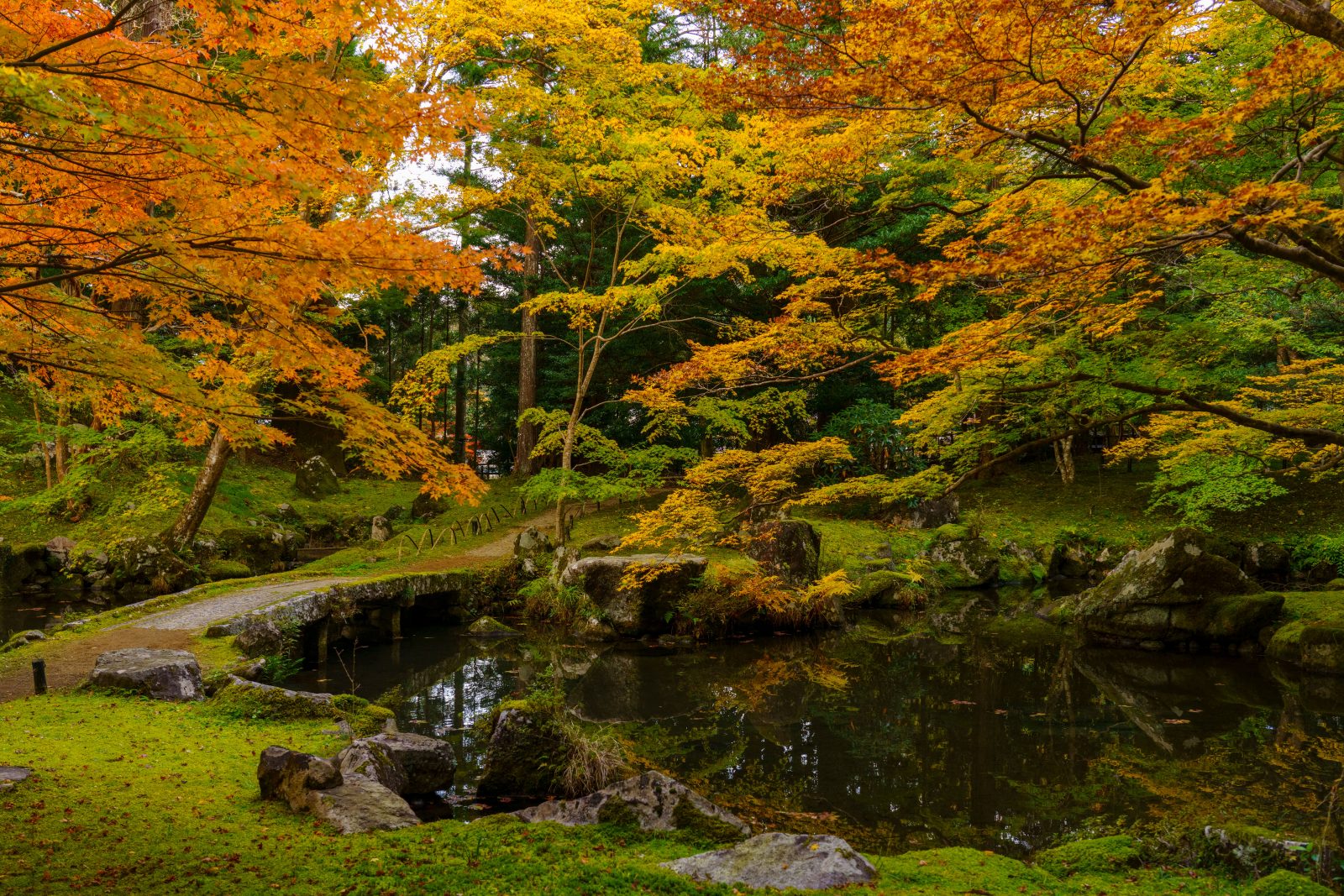 秋に色づく庭園