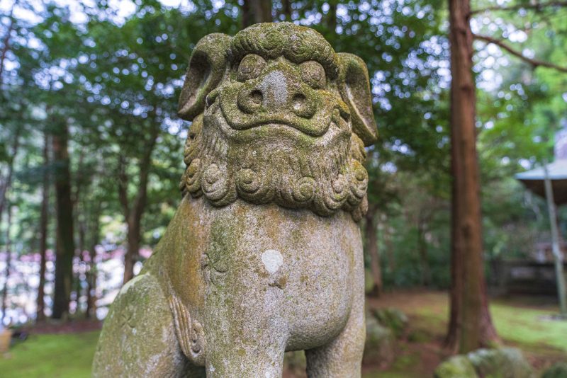 九木神社の狛犬