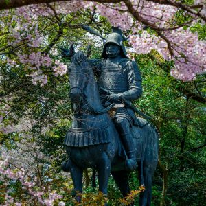 桜と藤堂高虎像