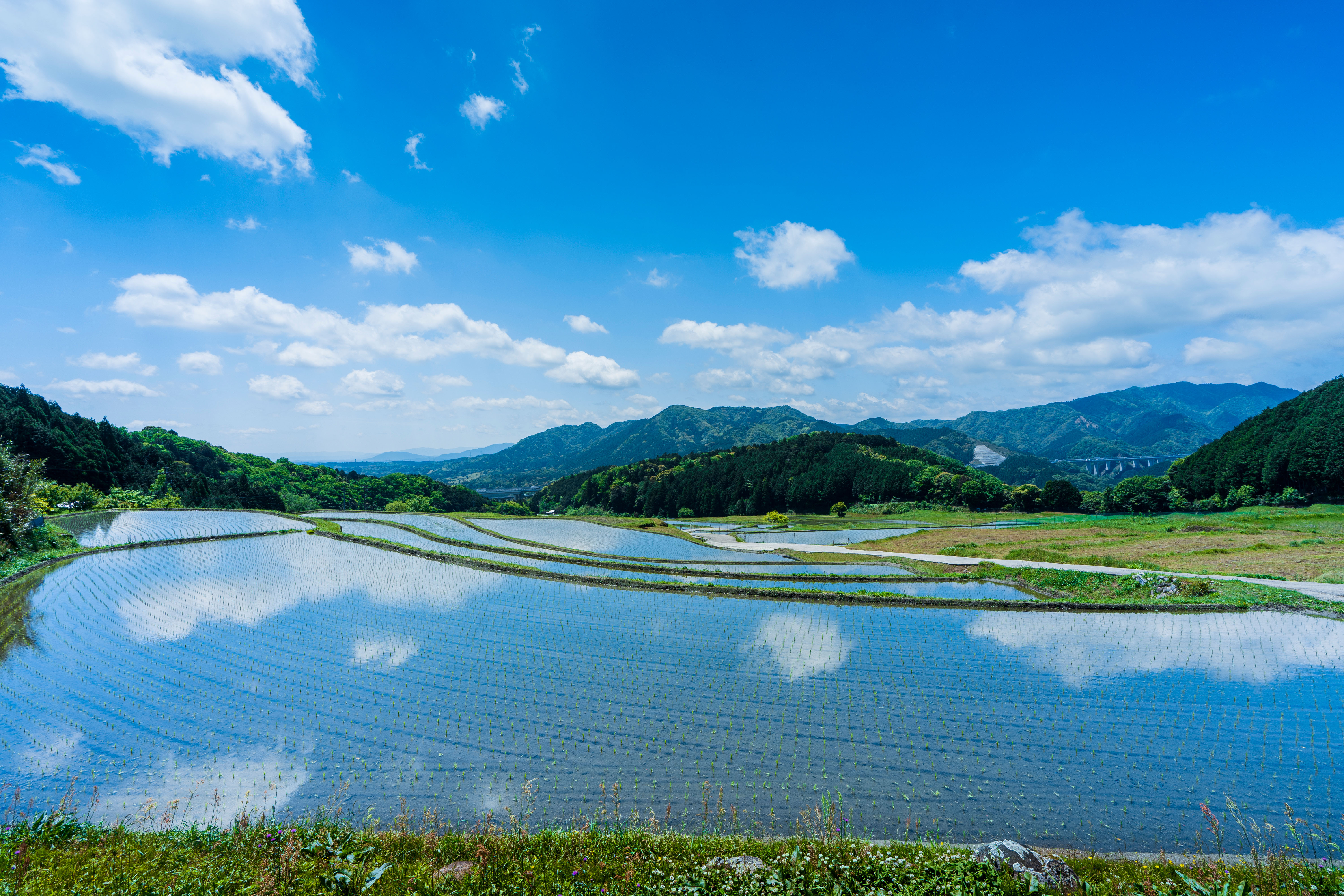 亀山市 坂本の棚田の写真 青空リフレクション 高画質な三重の風景写真は三重フォトギャラリー