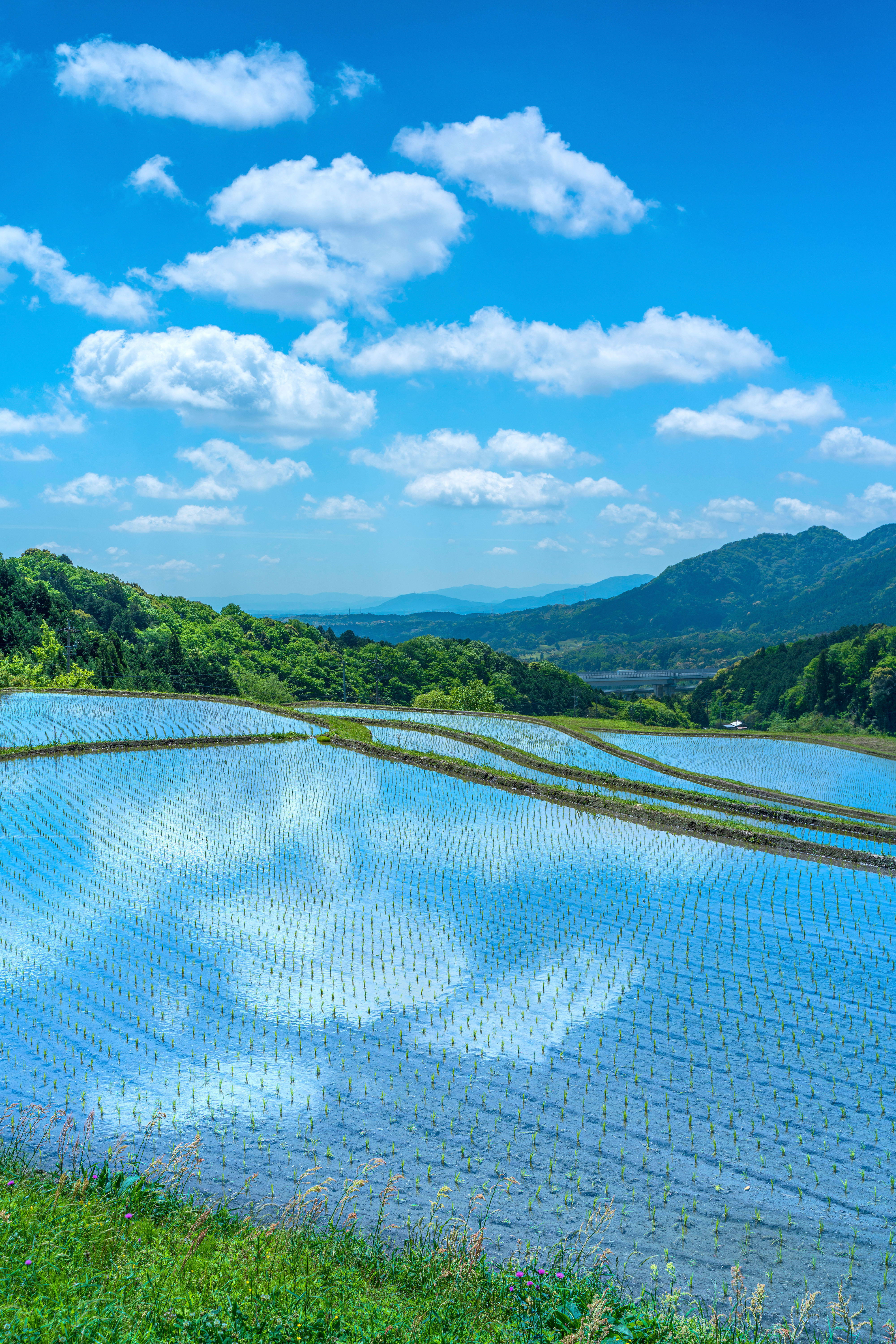 亀山市 坂本の棚田の写真 空が反射する棚田 高画質な三重の風景写真は三重フォトギャラリー