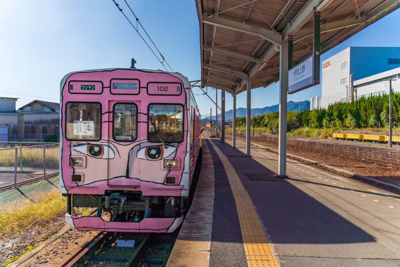 ピンクの忍者列車