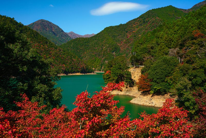 宮川ダム湖と紅葉と秋空