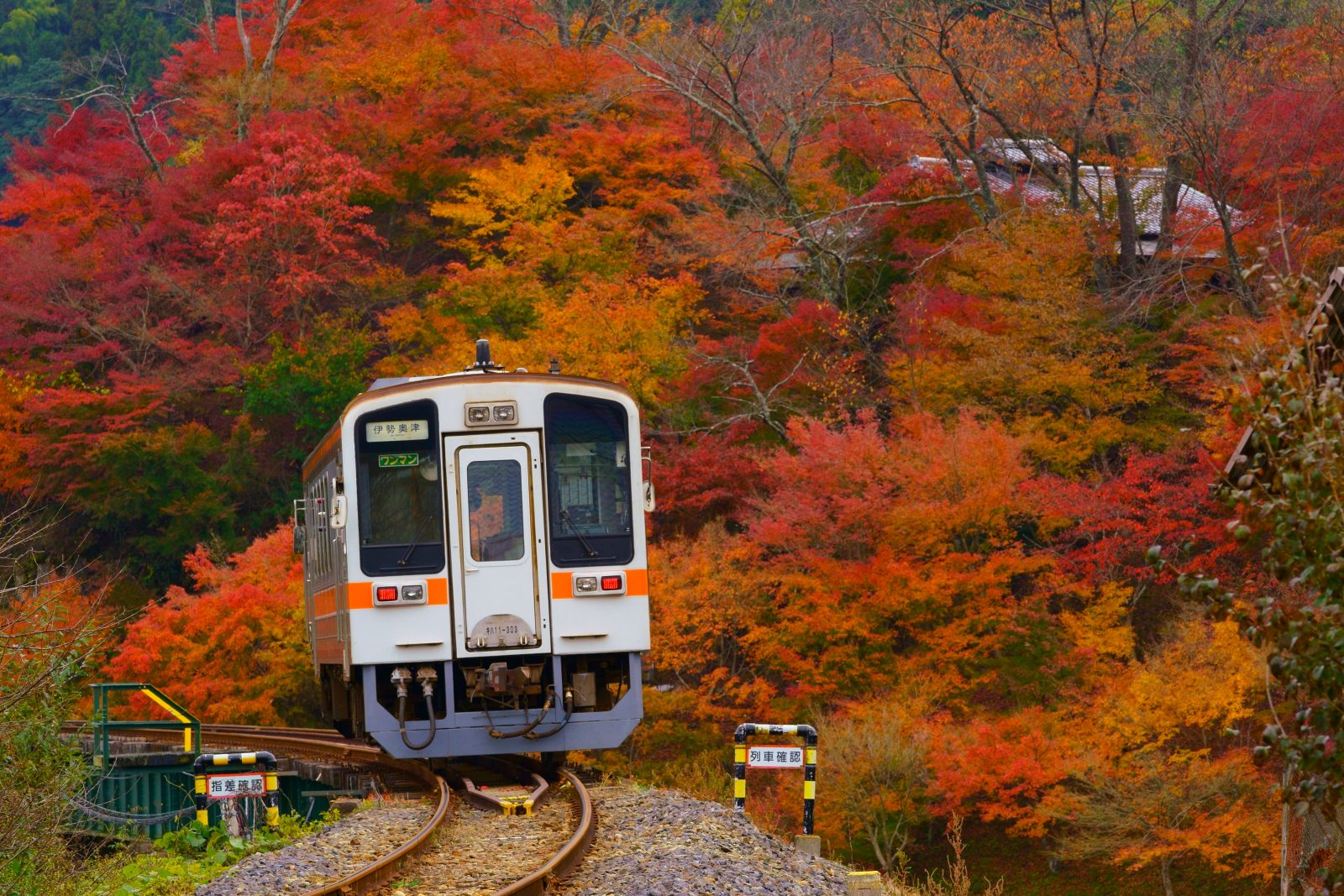 鉄道 名松線の写真 家城の紅葉 高画質な三重の風景写真は三重フォトギャラリー