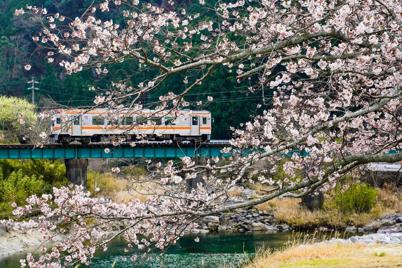 鉄道 名松線の写真 春を走る 高画質な三重の風景写真は三重フォトギャラリー
