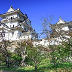 伊賀上野城の観光情報と写真一覧