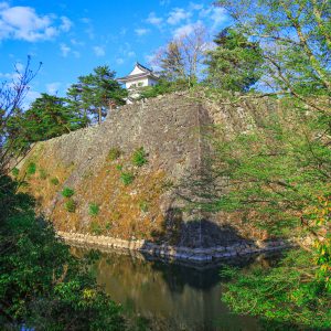 高石垣とお城