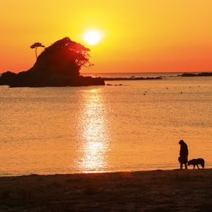 ゴジラと夕陽を眺めながら犬の散歩をする人