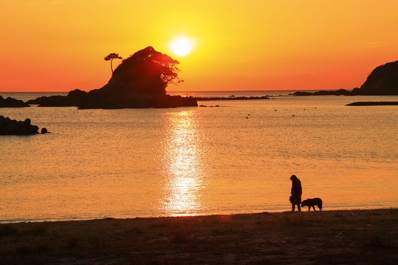 ゴジラと夕陽を眺めながら犬の散歩をする人
