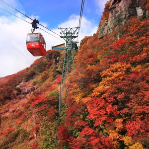 山上の真っ赤な紅葉